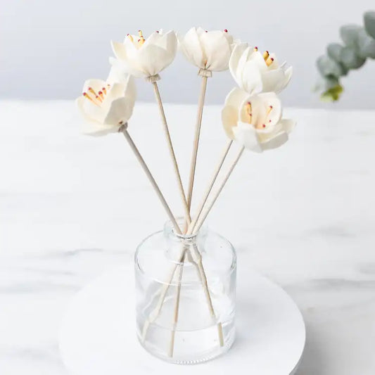 Handmade Reed Diffuser Set - Aromatherapy Home Fragrance