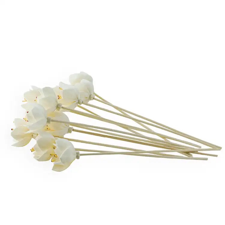Handmade Reed Diffuser Set - Aromatherapy Home Fragrance